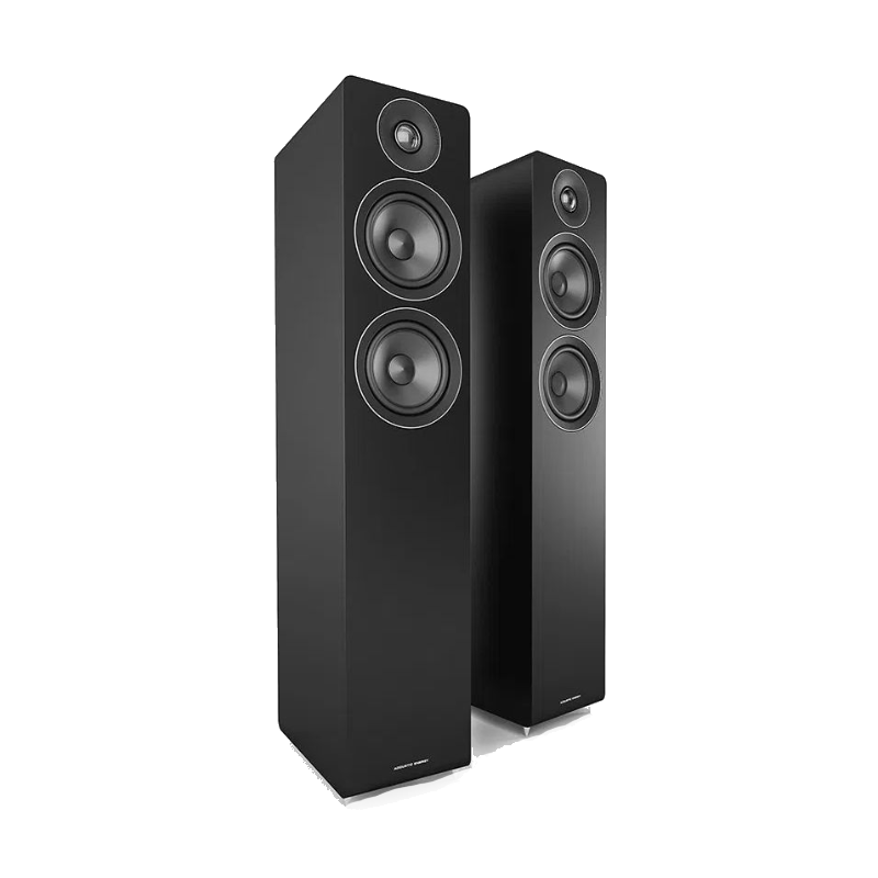 Acoustic Energy AE109