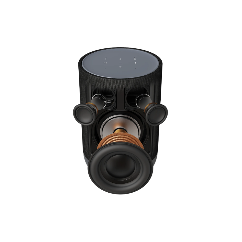 Denon Home 200