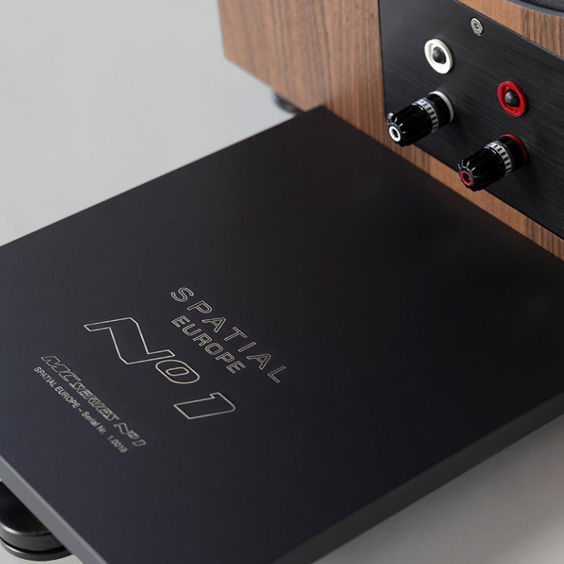 Spatial Europe N1 Diffusori Open Baffle