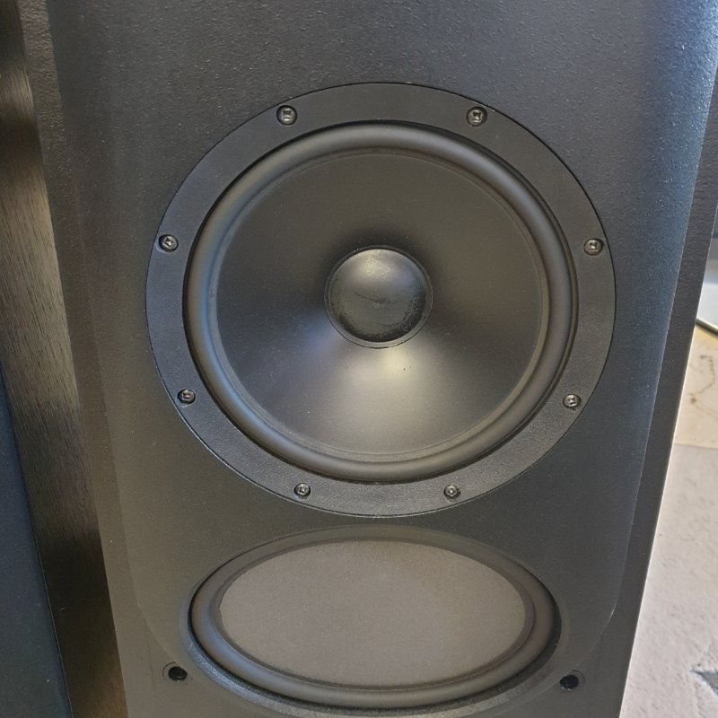 Thiel CS 22 Diffusori (USATO)