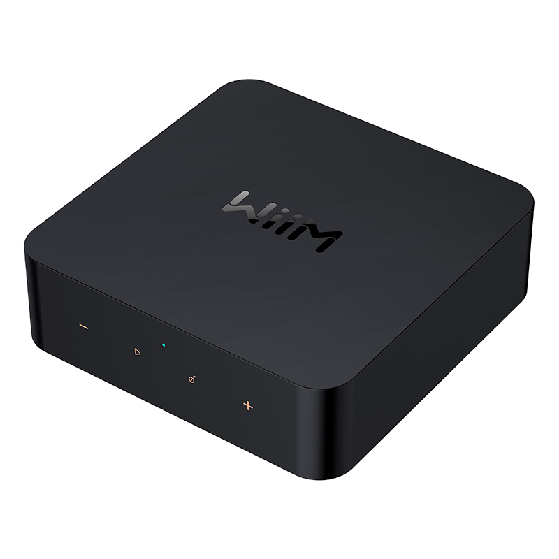 WiiM Pro Plus Network Player