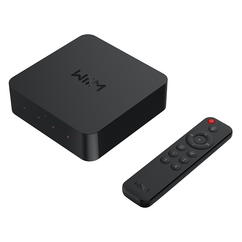 WiiM Pro Plus Network Player