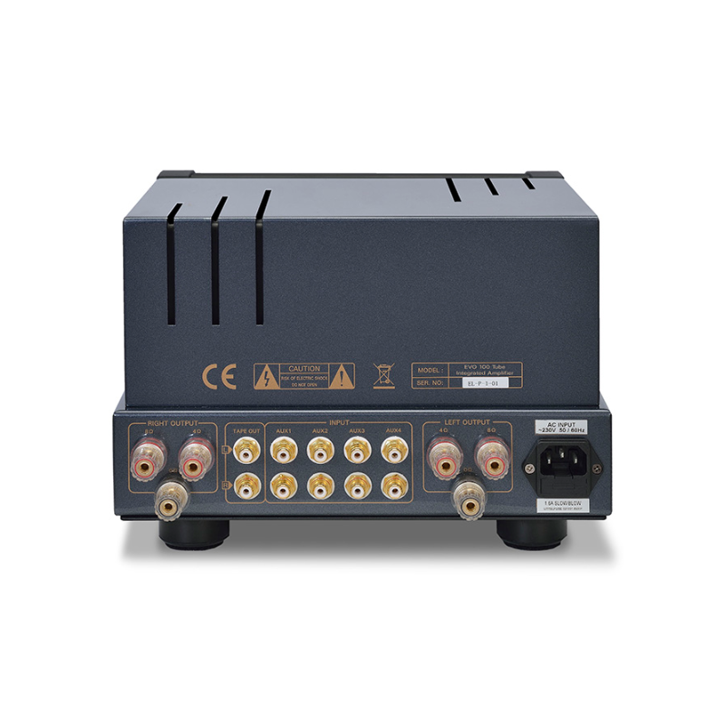 PrimaLuna EVO 100 Amplificatore Integrato Valvolare