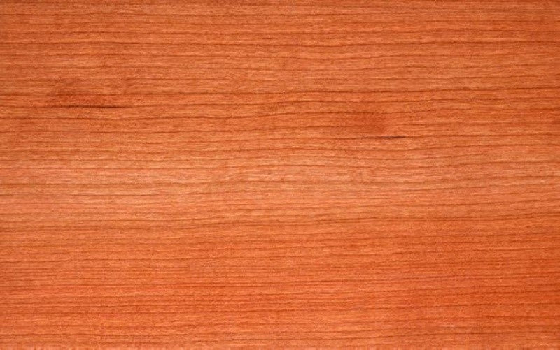 AQ Labrador 422 MKIII Subwoofer