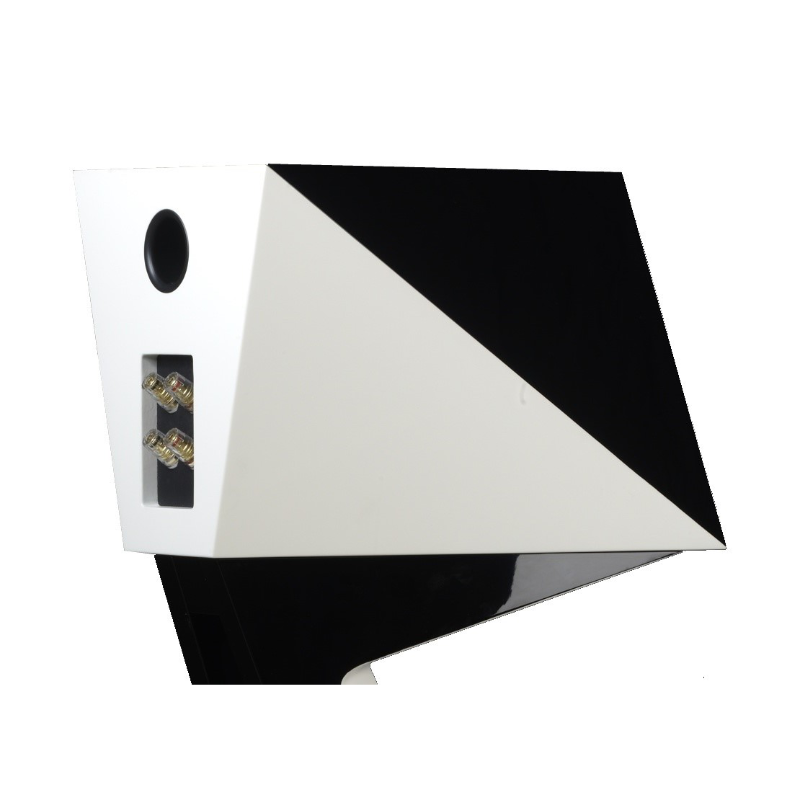 AQ Passion Orca