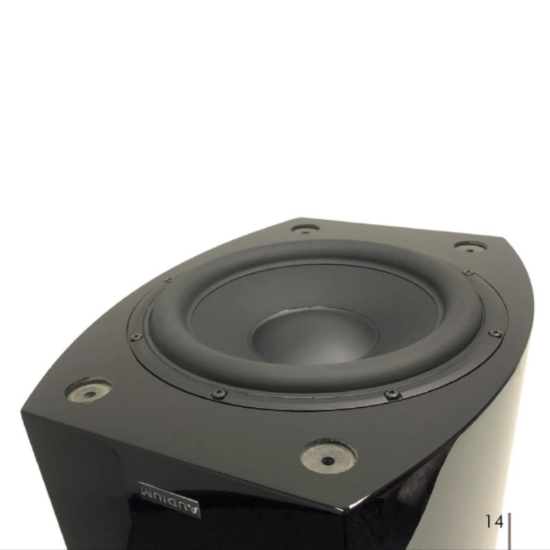 Audium Comp Subwoofer 12